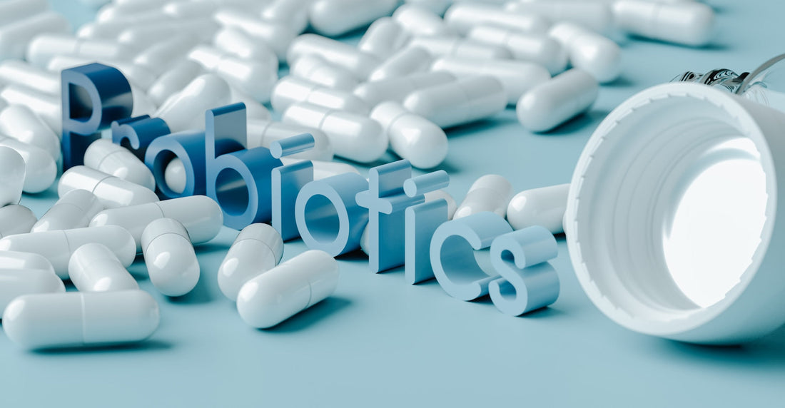Probiotic Supplements